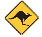 Chapman Valley Skippycoin ICG